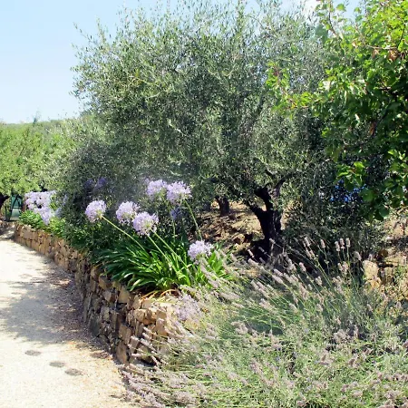 Ivano - Pgi125 By Interhome Poggi